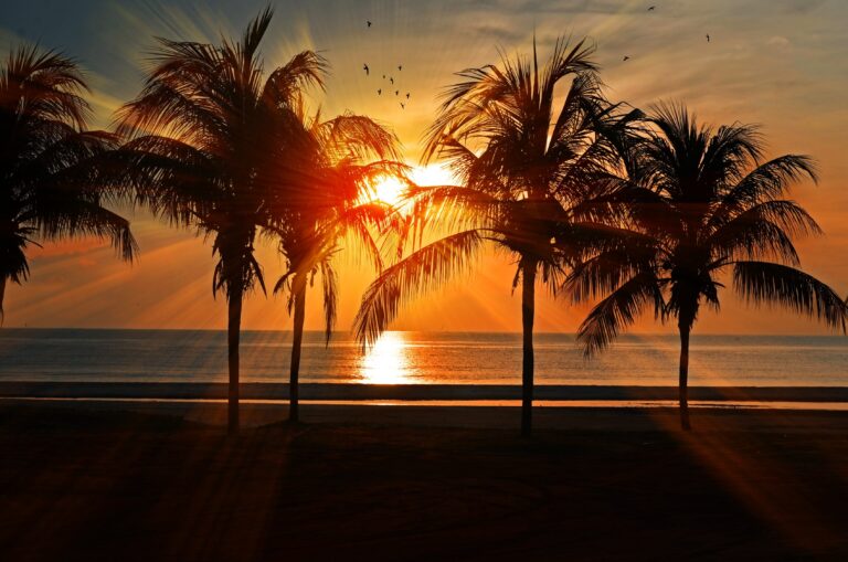 Sun is setting on 2020
