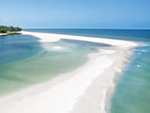 Protecting Paradise: The Importance of Beach Conservation and Cleanup on Florida’s Central Gulf Coast